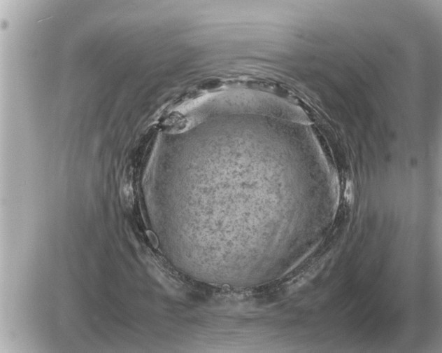 X0000087400771200705042034