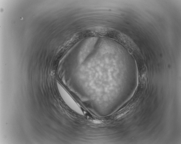 X0000087400772200705042034