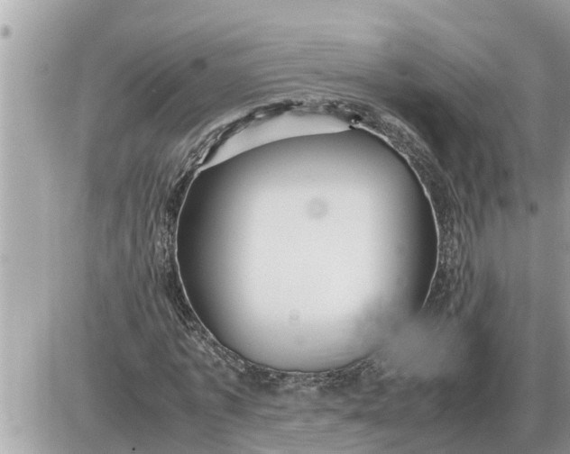 X0000087400773200705042034