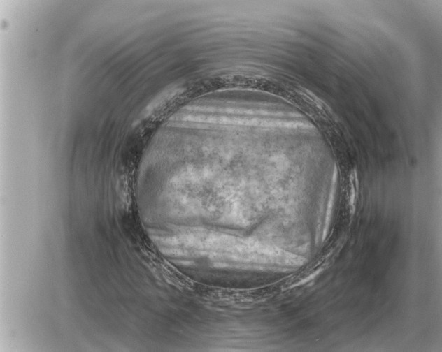 X0000087400774200705042034