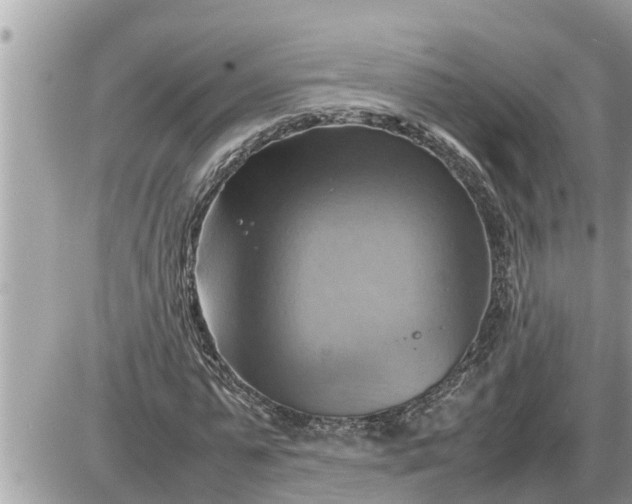 X0000087400775200705042034