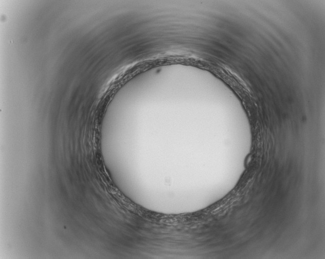 X0000087400776200705042034