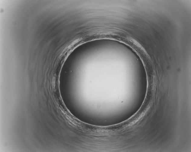 X0000087400777200705042034