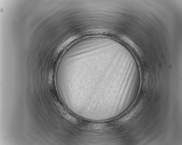 X0000087400778200705042034