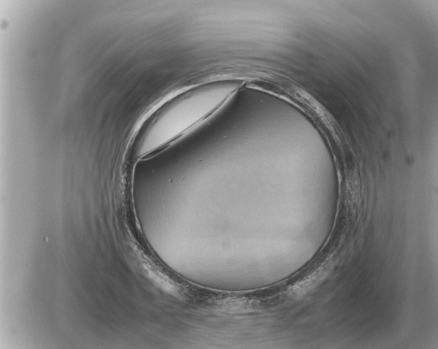 X0000087400779200705042034