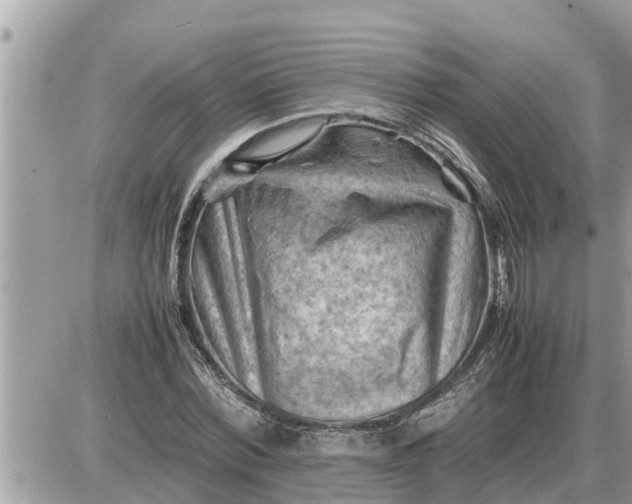 X0000087400780200705042034