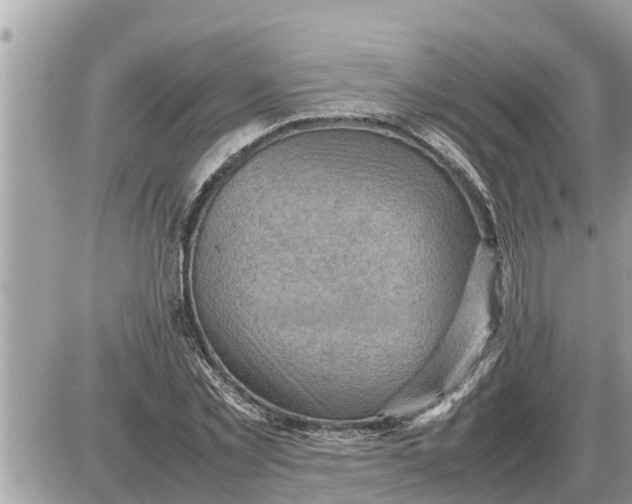 X0000087400781200705042034