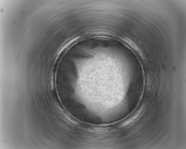 X0000087400782200705042034