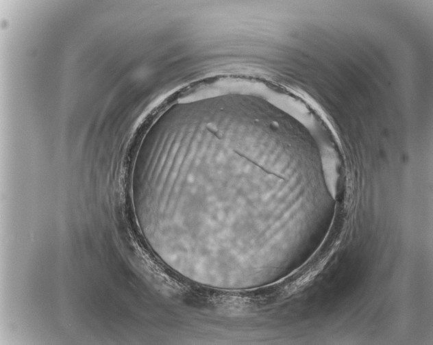 X0000087400783200705042034