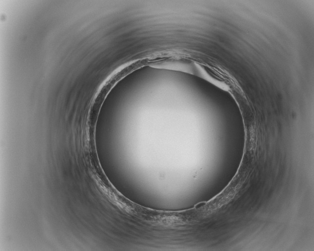 X0000087400784200705042034