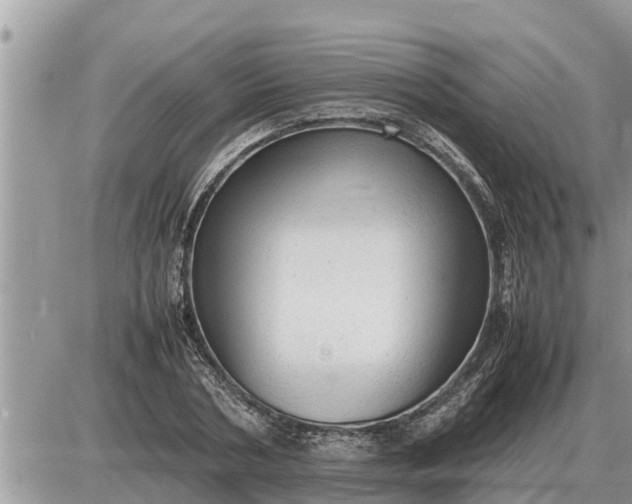 X0000087400786200705042034