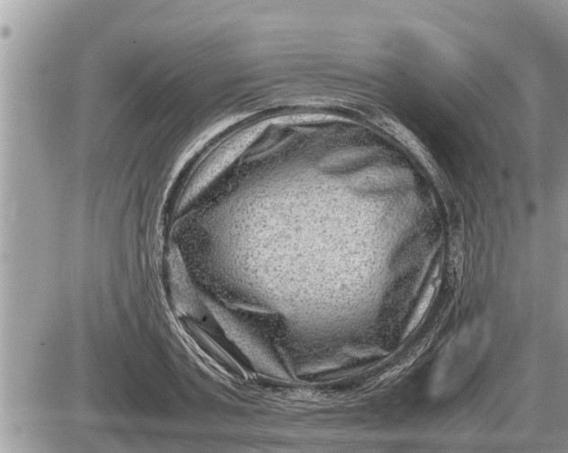 X0000087400787200705042034