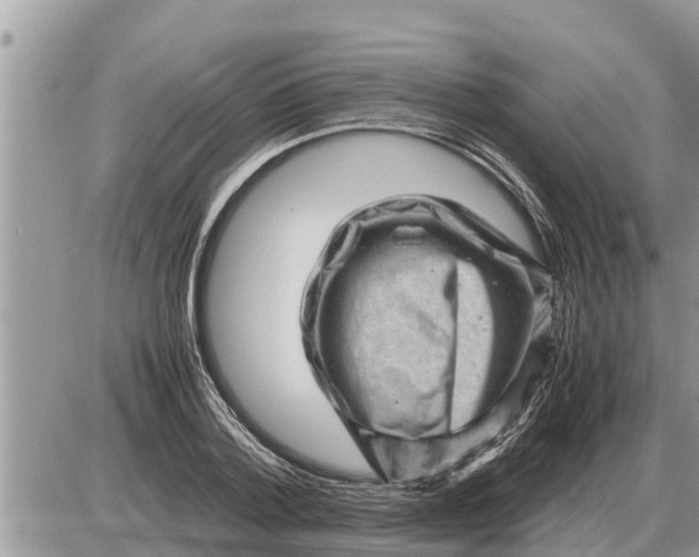 X0000087400788200705042034