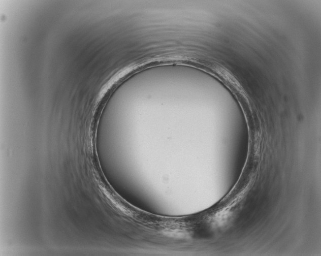 X0000087400789200705042034