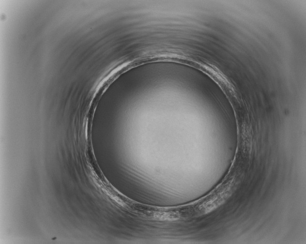 X0000087400790200705042034