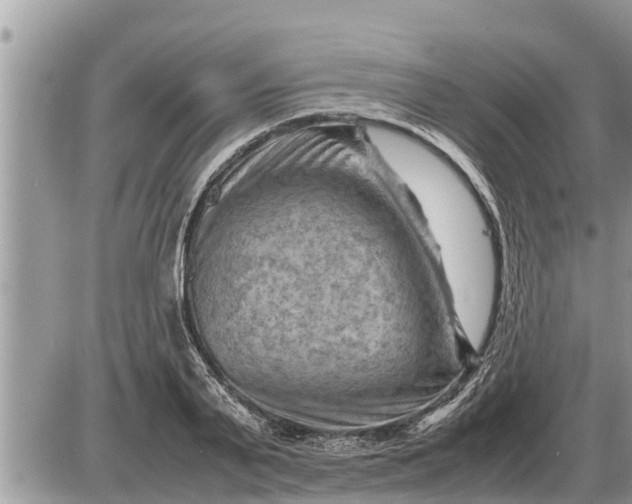 X0000087400791200705042034