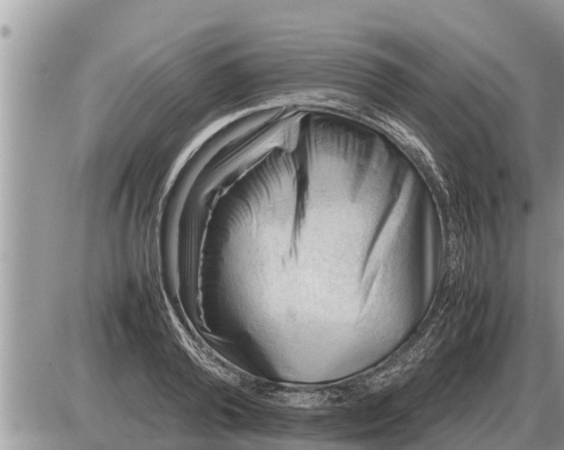 X0000087400792200705042034