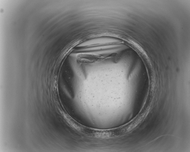 X0000087400793200705042034