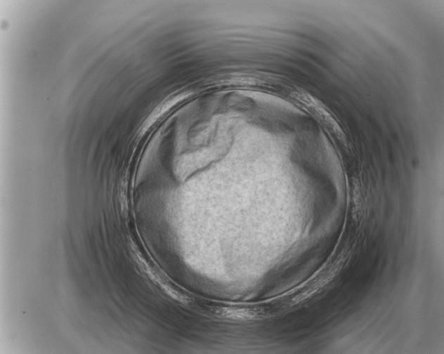 X0000087400794200705042034