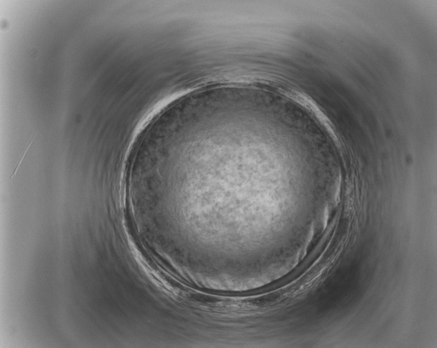 X0000087400795200705042034