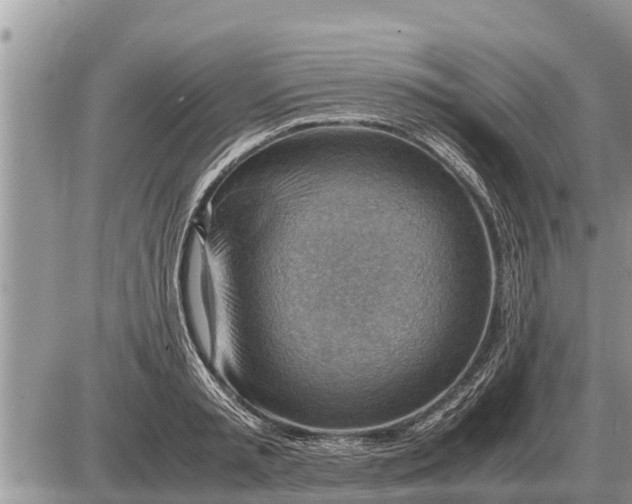 X0000087400797200705042034