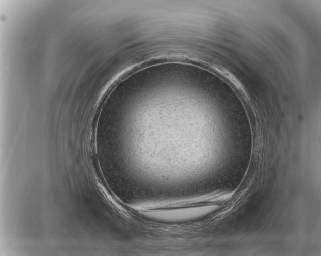 X0000087400799200705042034