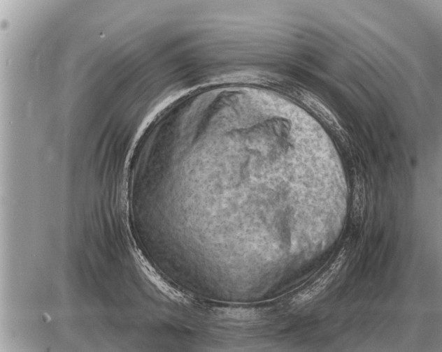 X0000087400800200705042034