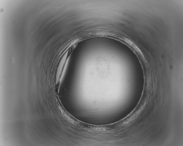 X0000087400801200705042034