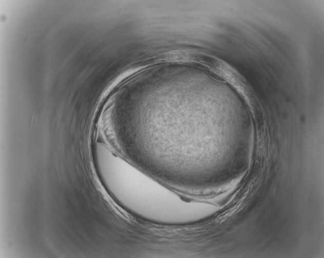 X0000087400803200705042034