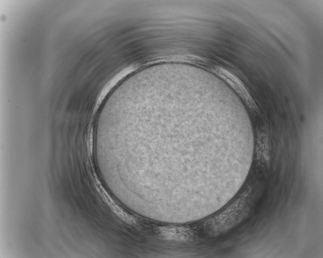 X0000087400804200705042034