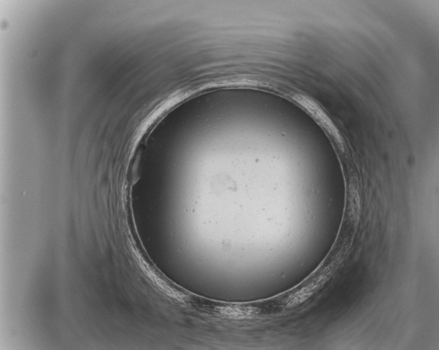 X0000087400805200705042034