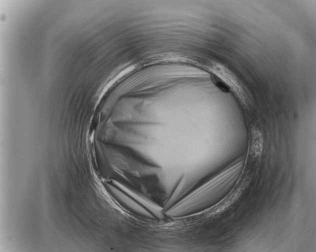 X0000087400806200705042034