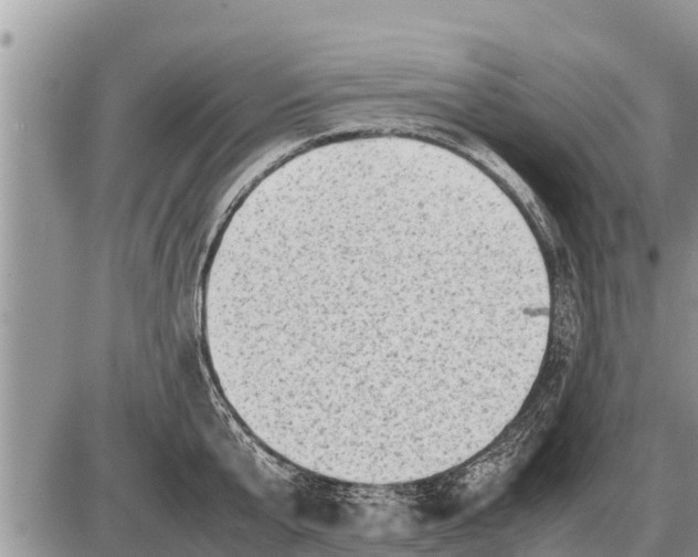 X0000087400807200705042034