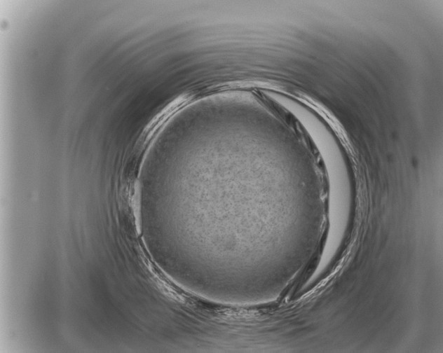 X0000087400809200705042034