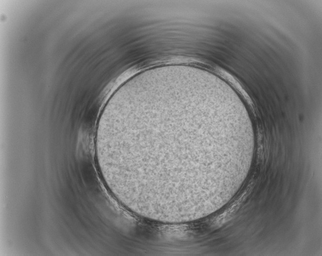 X0000087400810200705042034