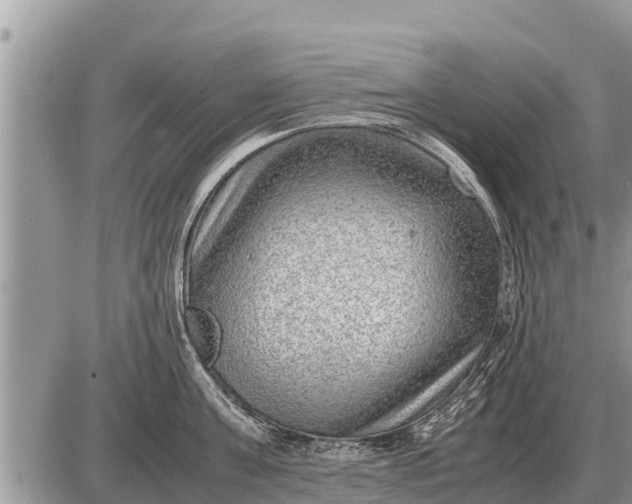 X0000087400811200705042034