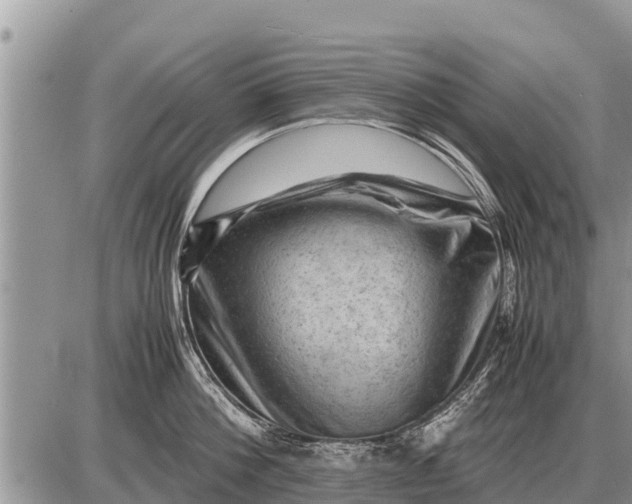 X0000087400812200705042034