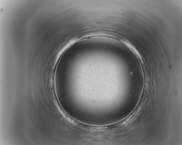 X0000087400813200705042034