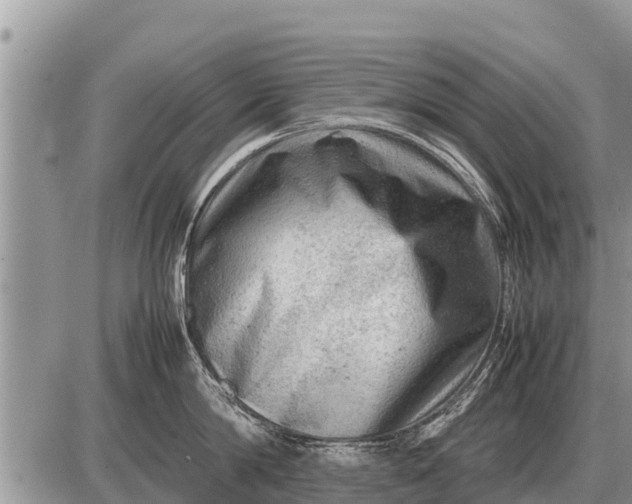 X0000087400814200705042034