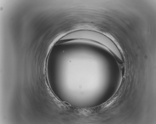 X0000087400815200705042034