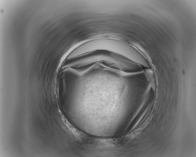 X0000087400816200705042034