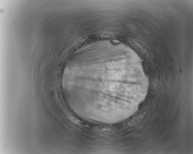 X0000087400817200705042033