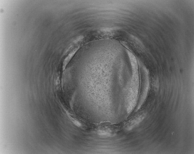 X0000087400818200705042033