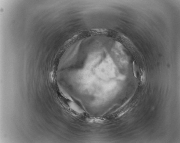 X0000087400819200705042033