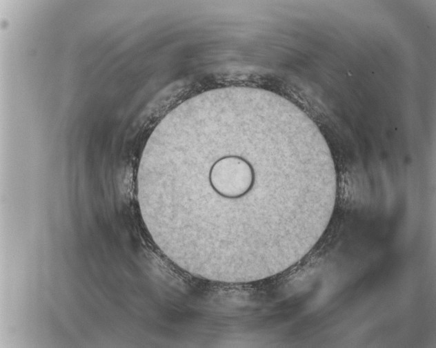 X0000087400820200705042033