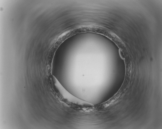 X0000087400822200705042033