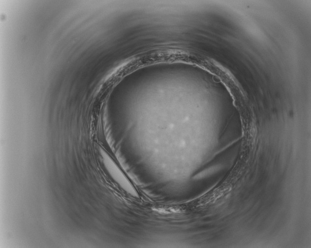 X0000087400823200705042033