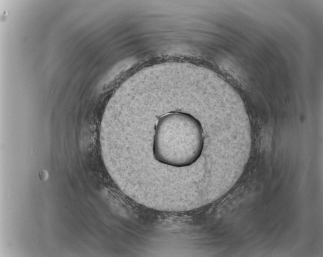 X0000087400824200705042033