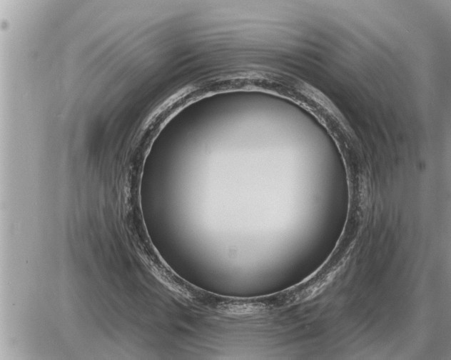 X0000087400826200705042033