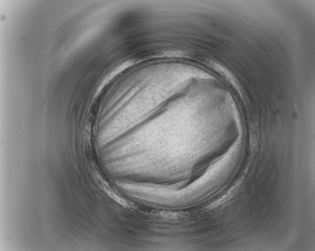 X0000087400827200705042033